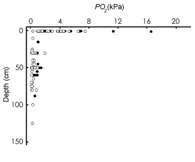 oxygen in burrow