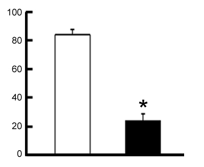 chloride cells