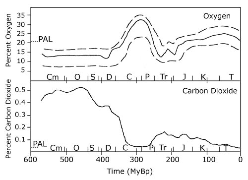 oxygen vs. carbon dioxide