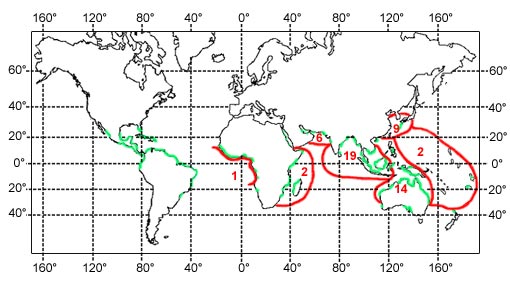 distribution