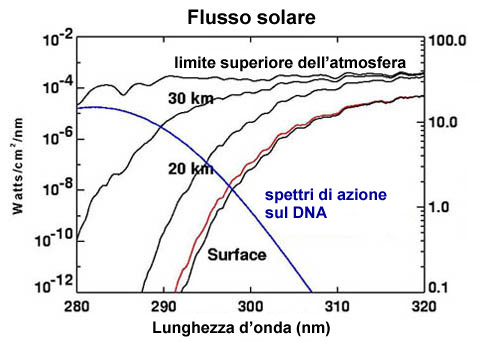 ozone