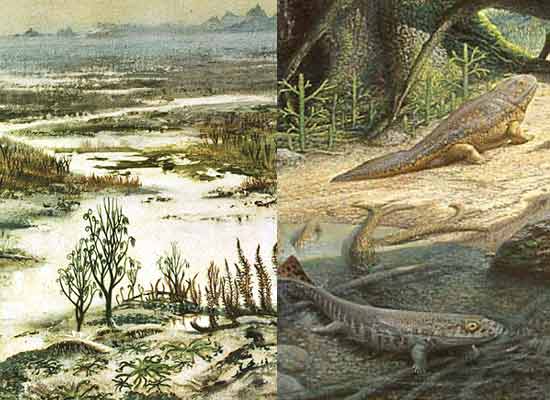 Devonian landscapes