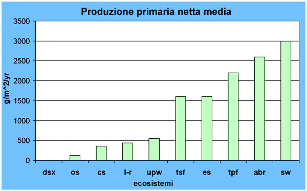 Primary production