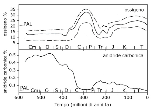 oxygen vs. carbon dioxide